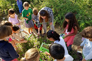 Building a Greener Future: Santa Clara County Office of Education’s 2022–23 Environmental Education…