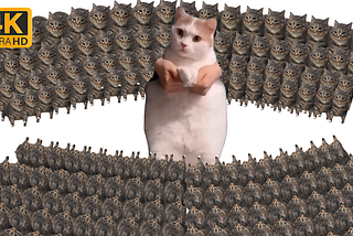 1 cat dance vs 10,000,000 oiiaoiia cat 4k