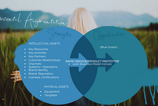 Horizontal Augmentation — A Business Strategy that takes you to your ‘Blue Ocean’