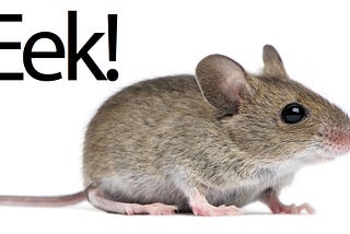 Eeeeeek I just saw a mouse! Wait… why on Earth do I fear mice so much?