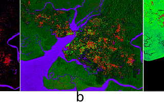 How to use deep network on sentinel-1 SAR images for change detection?