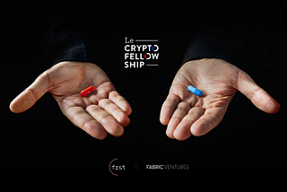 The Crypto Fellowship by Frst & Fabric: 10 x 100k to create 10 crypto entrepreneurs “from scratch”