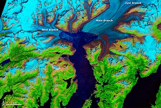 Two Open Science Foundations: Data Commons and Stewardship as Pillars for Advancing the FAIR…