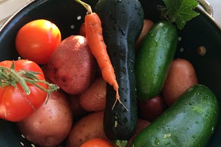 A green collander holding freshly-washed new potatoes, a little carrot, a small zucchini, two small cucumbers, and a handful of small tomatoes