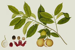 Effective Strategies for Handling Long Query Strings