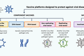 What I’ve learnt around different types of Covid vaccine