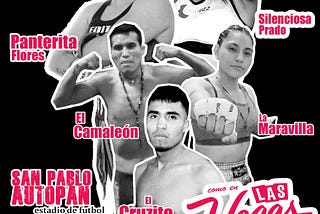 Boxeo Profesional el 23 de diciembre en Toluca