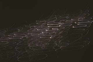 Research Project Managers: Embrace the Chaos of Discovery