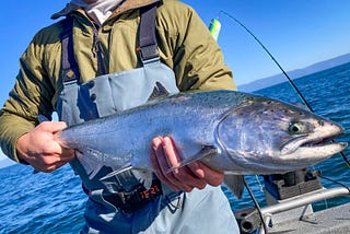 Salty Chinook: late-winter and spring salmon fishing on the western Strait and Puget Sound