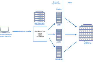 An inside view of domain anonymization as-a-service — the BraZZZerSFF infrastructure