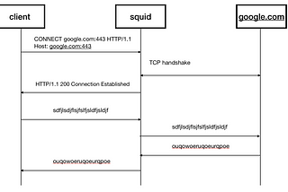 curl and proxies