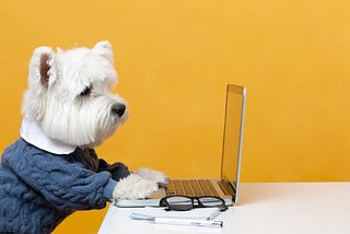 Picture of a dog dressed as a businessman, staring at a laptop screen. Spectacles and a notepad are by the side of the laptop. Bright yellow background.