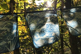 Cyanotype x Cutout Art in Woodland Valley, Catskills