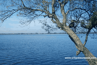 Visit Inland Ocean Sri Lanka