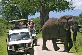How much does a Tanzania safari cost