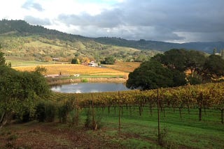 Anderson Valley — Exquisite Wines; Refreshingly Rural