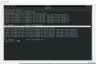 Goal: To create a set up so that you can ping Google but not able Facebook from the same system