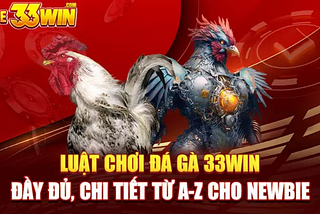 Luật Chơi Đá Gà Từ A-Z Cho Newbie Tại 33Win