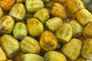 Deux mois dans la préparation de l’Ultra Mirage 2025–50 km dans le désert