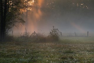 A Misty Foggy Morning