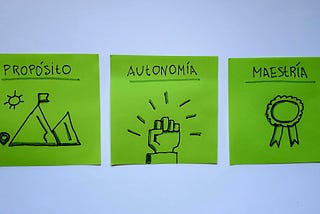 Organizaciones con Propósito