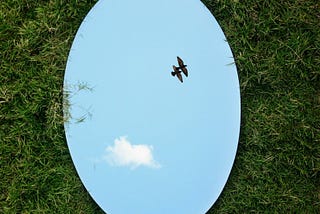 Looking Through the Looking Glass