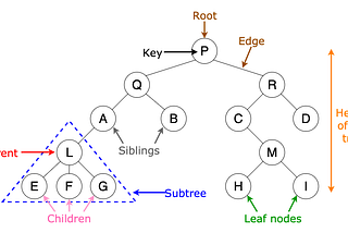 Graphs vs. Trees: The Short Story