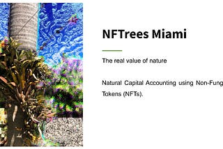 NFTrees Miami