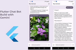 Implementing a Flutter Chatbot App with Google Gemini
