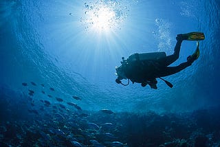 solo diver diving with fishes