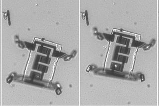 Microscopic images of the researchers’ robot flexing its legs and crawling.