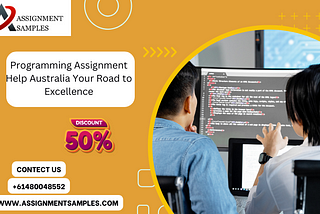 Programming Assignment Help Australia Your Road to Excellence