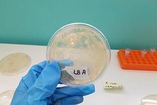 How I Engineered E.coli To Survive on Strep Media Using CRISPR/Cas9