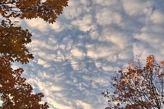 My Morning Snapshots