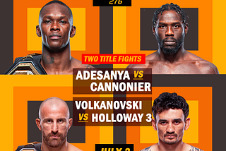 UFC 276: Adesanya vs. Cannonier: Card, Preview, Prospects, Time and Odds