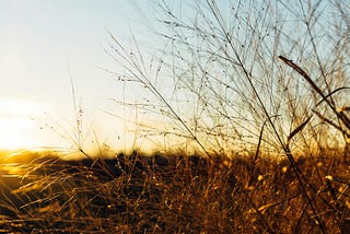The Sound of Silence