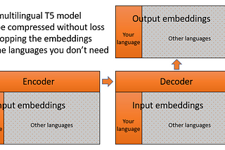 How to adapt a multilingual T5 model for a single language