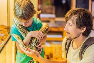 What are the Best Pet Snakes for Kids?