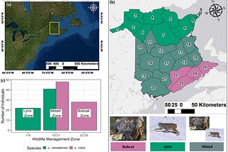 Prey Selection and Competition: Investigating Dietary Dynamics of Bobcat and Lynx in New Brunswick