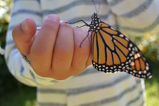 Emerging from the Chrysalis of Quarantine