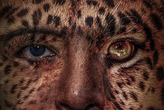 Leopard Face Photoshop Manipulation
