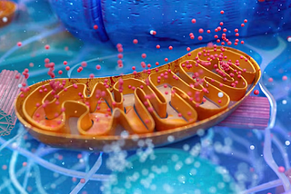 Exploring the Antibody Conjugate Oligonucleotide Market: Innovations, Applications, and Future…
