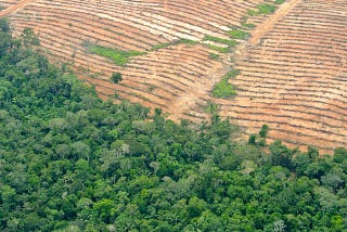 System Mapping in Action: Deforestation in Peru