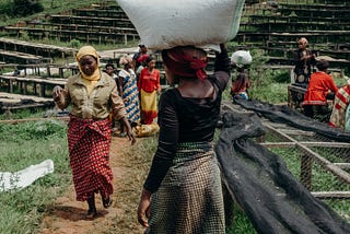 Approaches to Make Circular Economy a Success in Emerging Economies