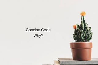 Why Do You Care About Conciseness of The Code?