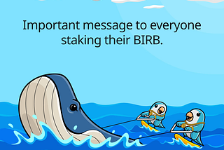 Important message to everyone staking their BIRB