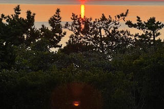 Kotagiri Gardens: A conversation on Rasa