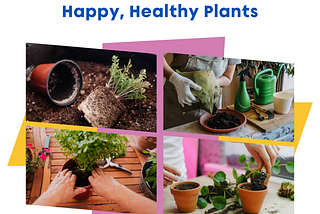 The Art of Plant Repotting: A Green Thumb’s Guide to Happy, Healthy Plants