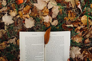 Interesting reads — volume #12