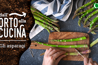 Dall’orto alla cucina — Gli asparagi